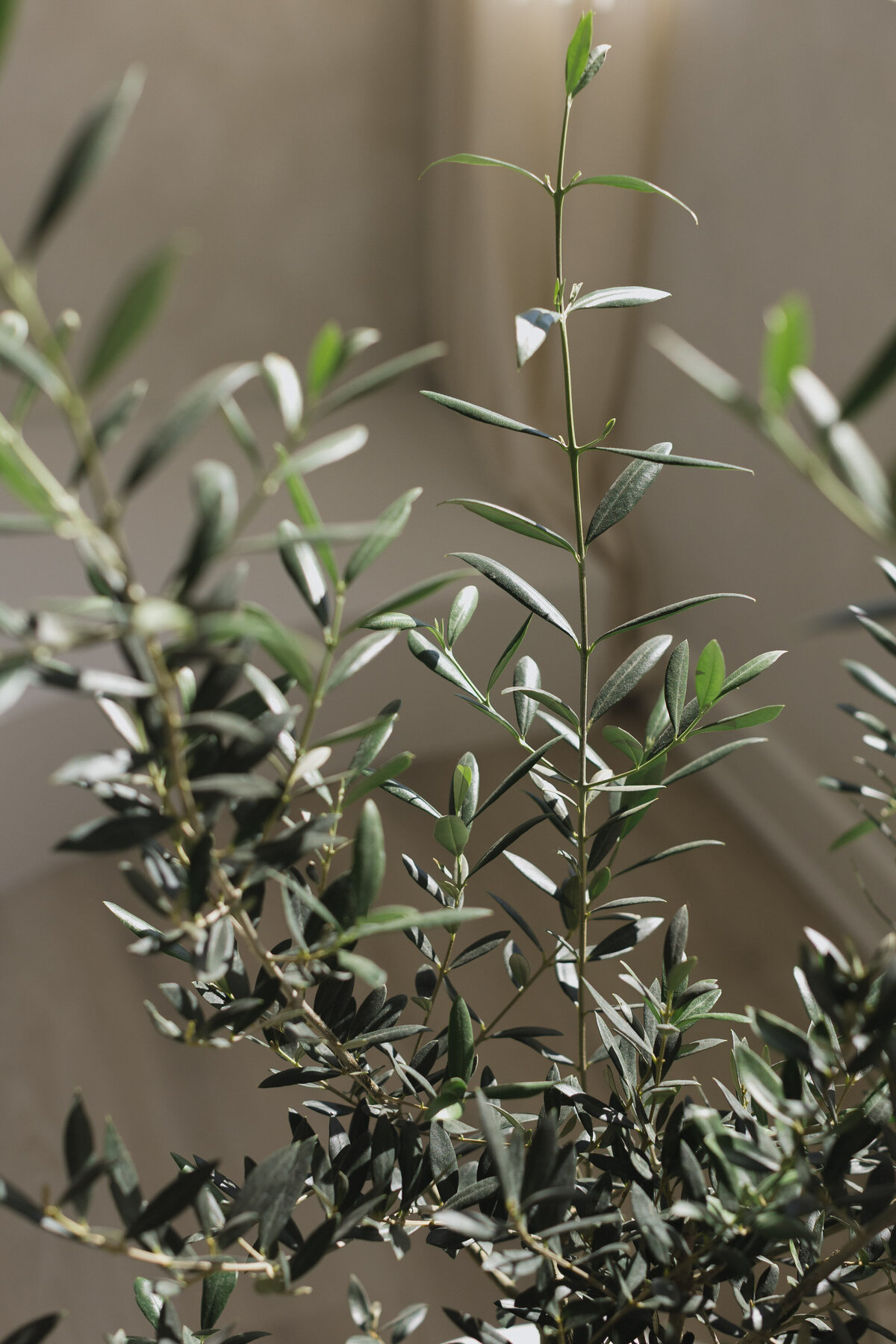 Ora D'oro Interiors Brand Shoot Inspiration-2