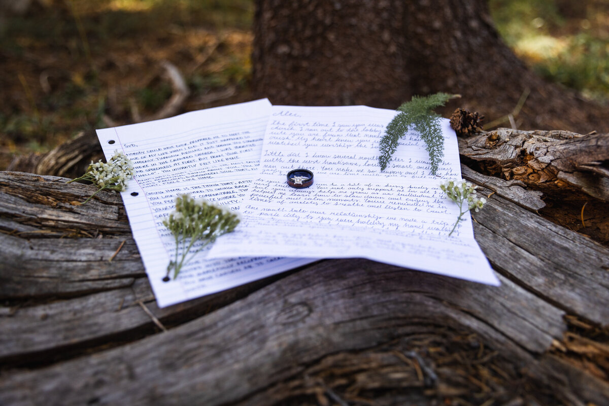 Alec+Sydney Yosemite National Park Adventure Wedding-111