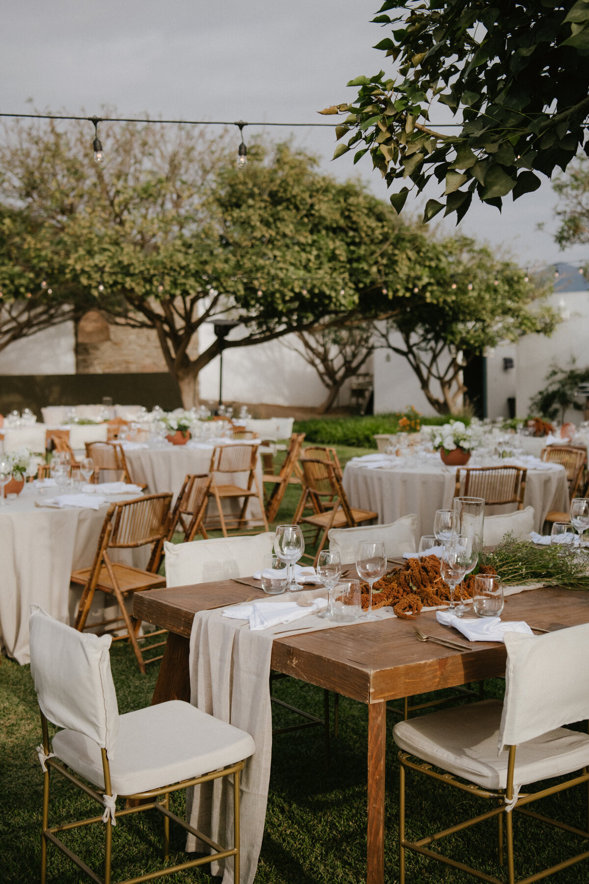 Creative table settings in valle de guadalupe mexico