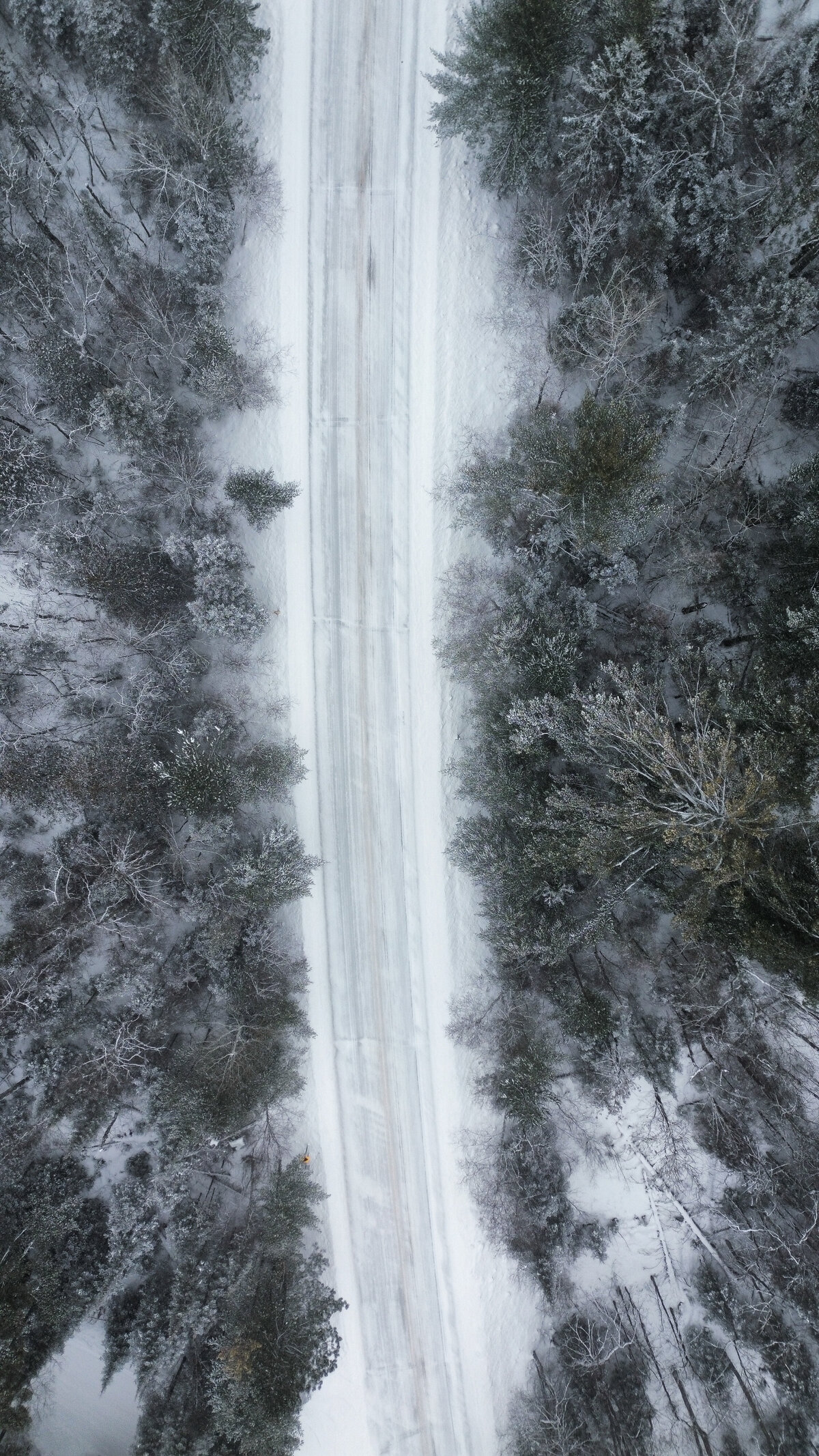 dji_fly_20250124_053330_747_1737915478010_photo_optimized