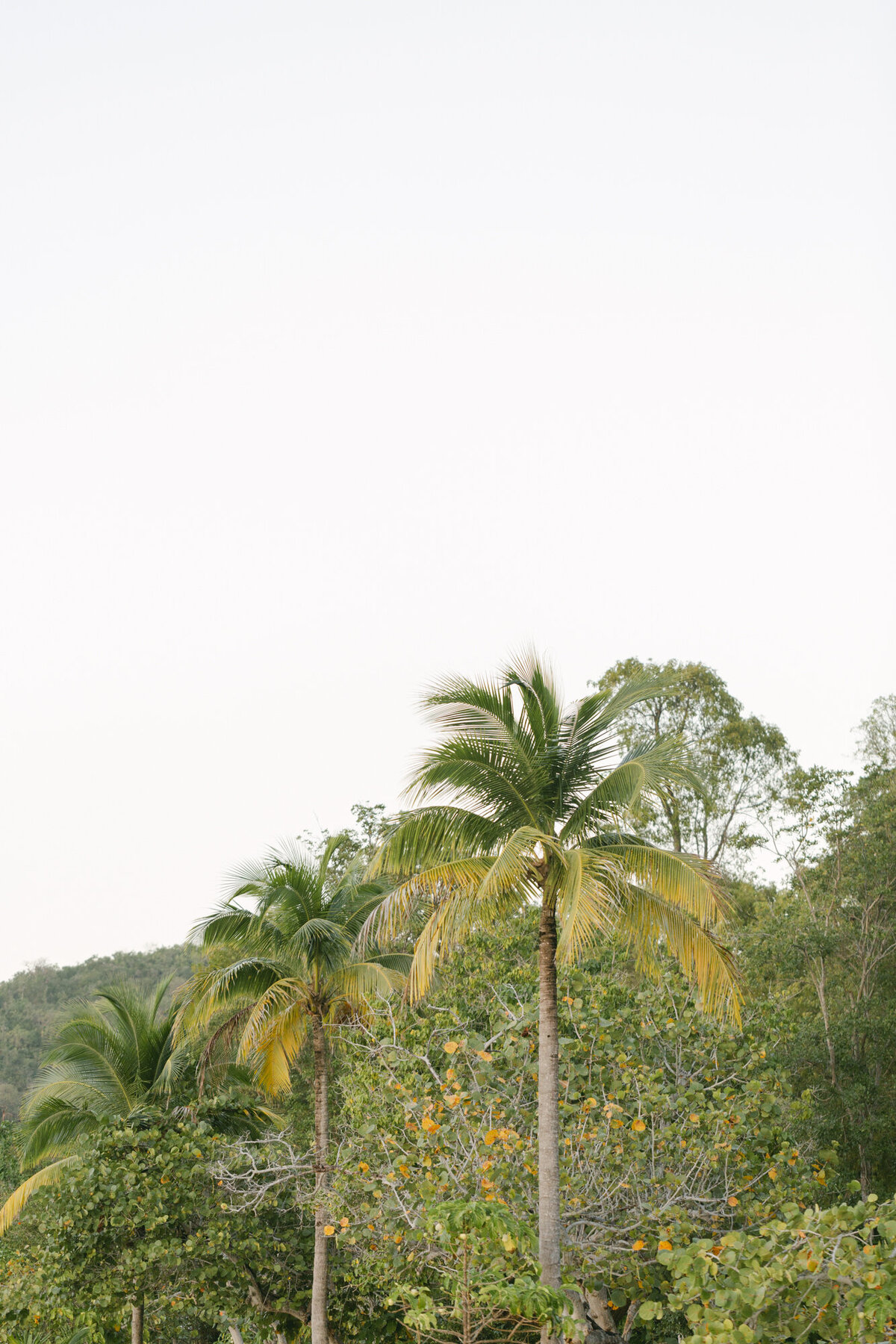 PERRUCCIPHOTO_ST_THOMAS_VIRIGIN_ISLAND_WEDDING_1