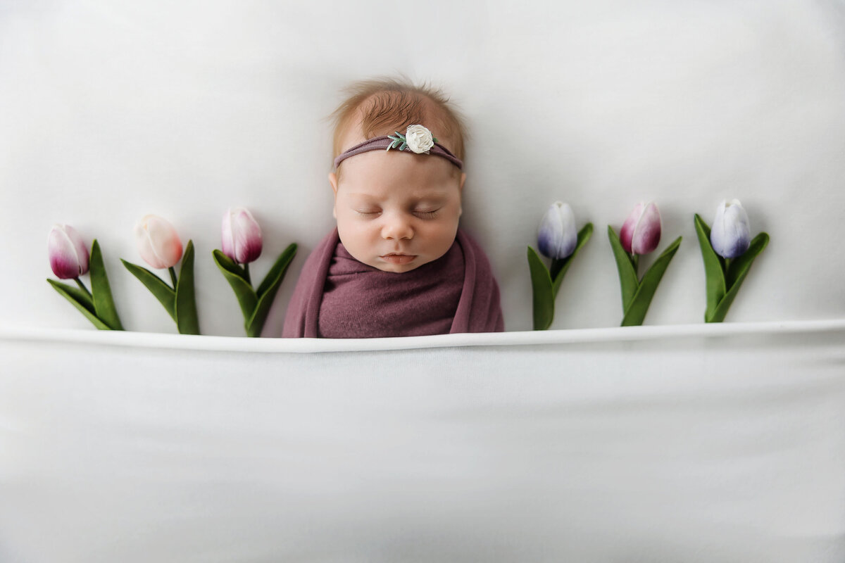 Baby Madison Sweet Connolly Photography 117