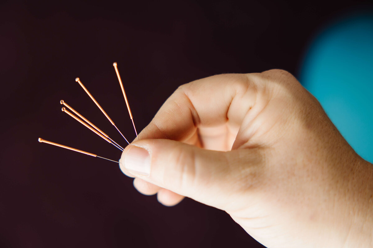 Holistic-acupuncture-therapy-veternarian-brand-photo-by-southern-idaho-commercial-brand-photographer-erin-moore