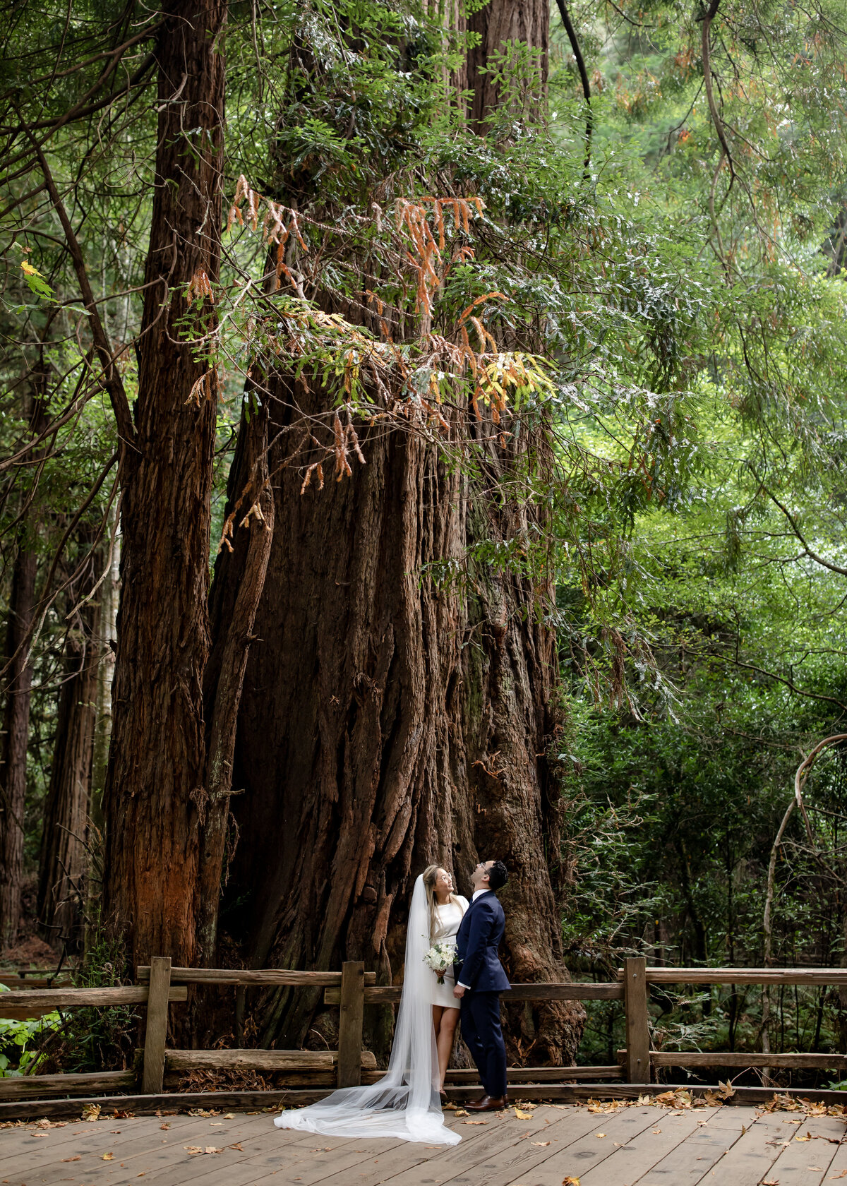 08242022_Rebecca+CharlesElopement_MuirWoodsCA_AnjaJensenPhotography-51