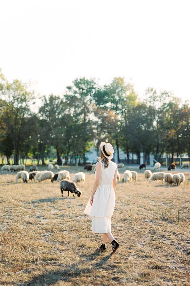 Engagement 1200px-1180