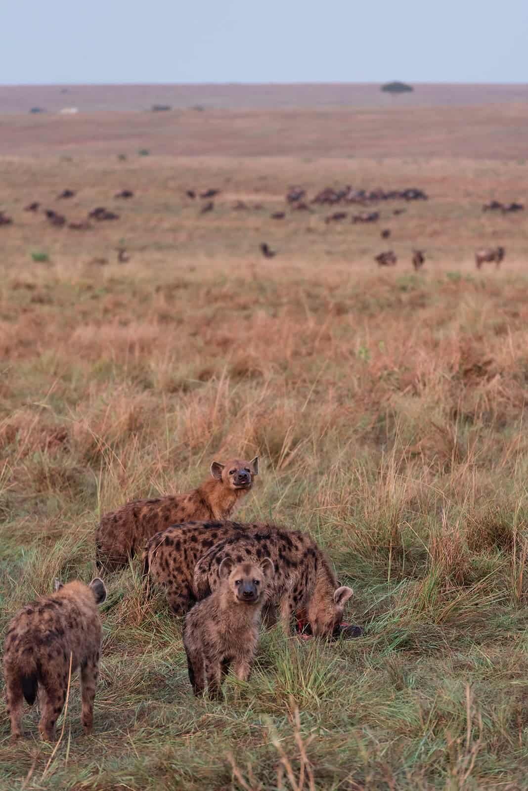 Soul-and-Sky-Luxury-Destination-Safari-Weddings-and-Bespoke-Vacation-Photographer-23