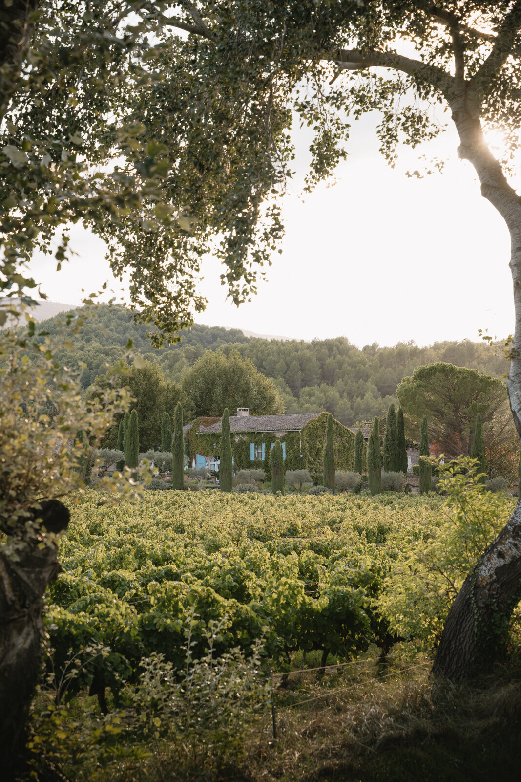 2Flora_And_Grace_Provence_BastideDeMarie_Editorial_Wedding_Photographer (26 von 463)