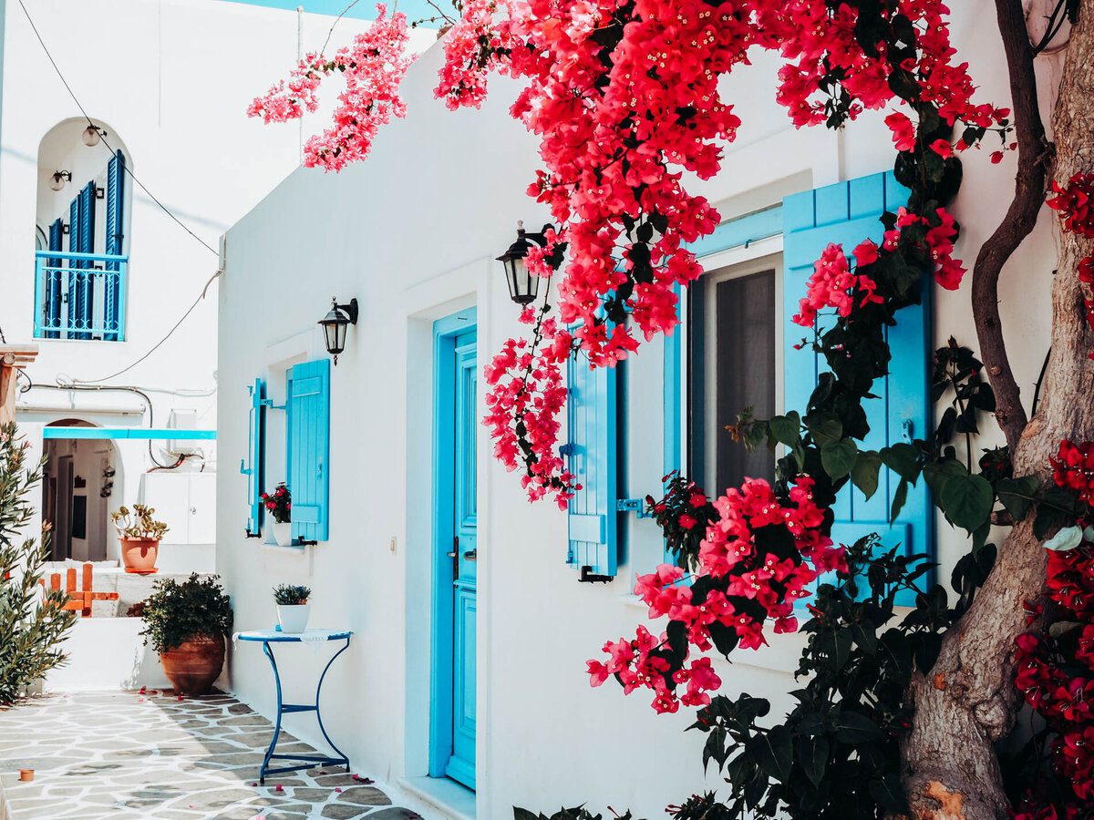 Girlboss-Designer-Travel-Tropical-22