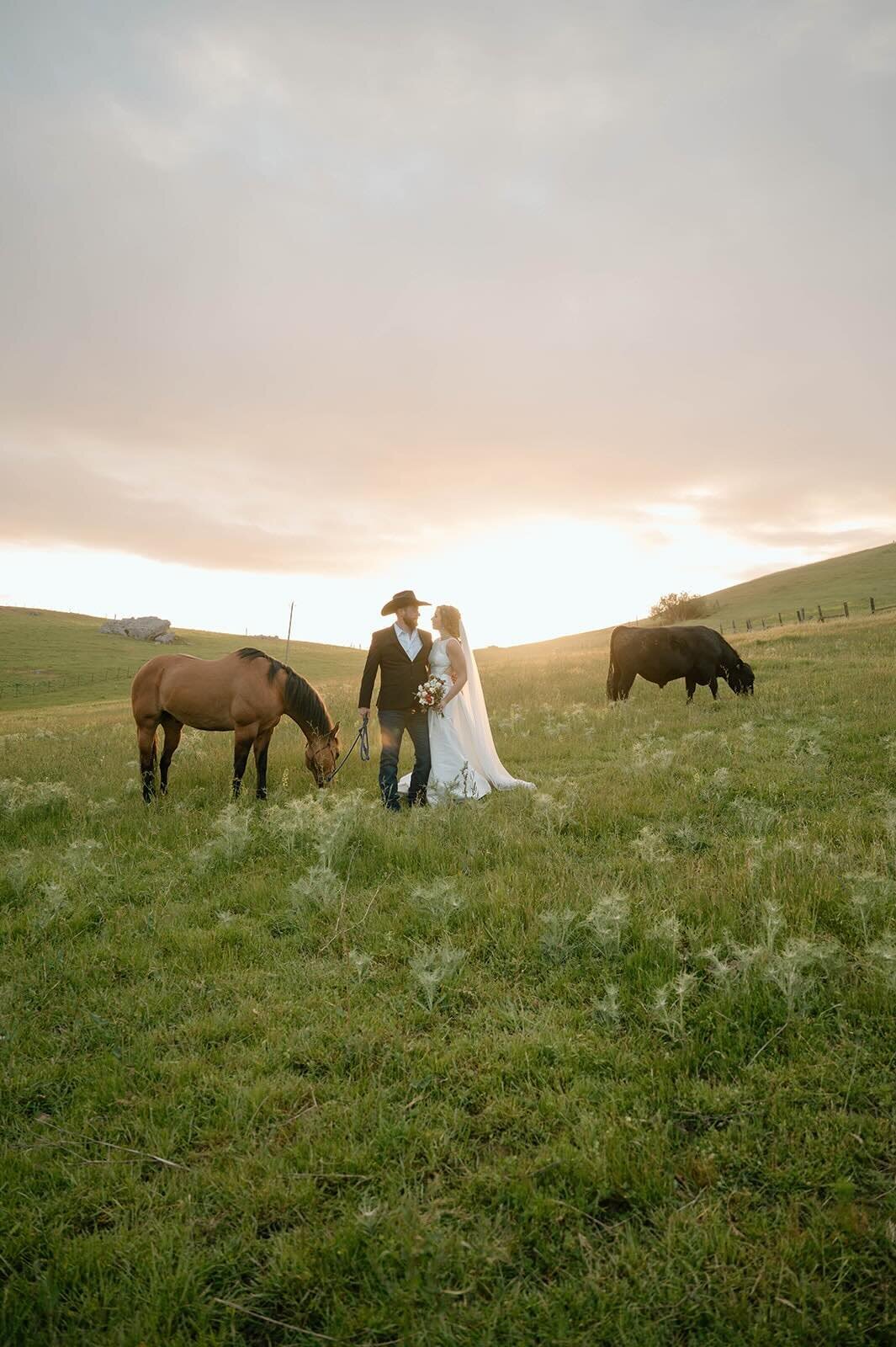 Bride in long train wedding gown standing on rocky hillside overlooking countryside.