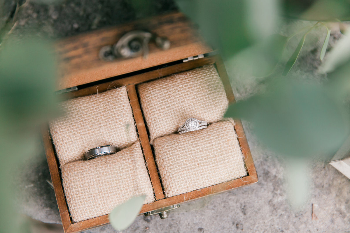 rings-1