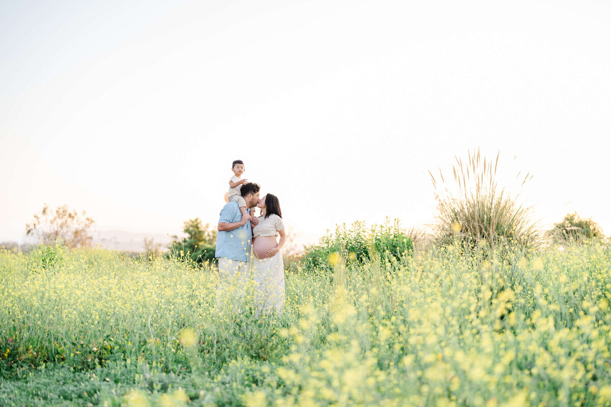 Pregnant woman in pinkblush maternity dress holding belly while the husband kisses her cheek in a golden field of dry grass