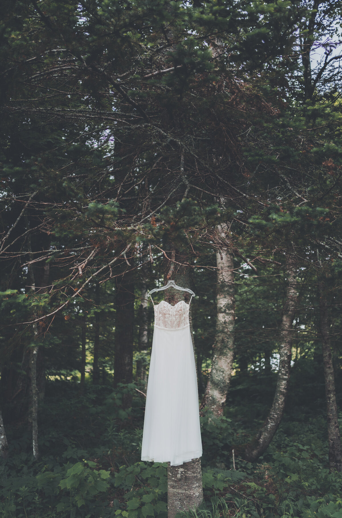 Bethany & Michael-28
