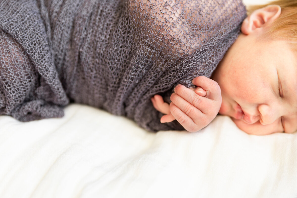 Newborn Portraits