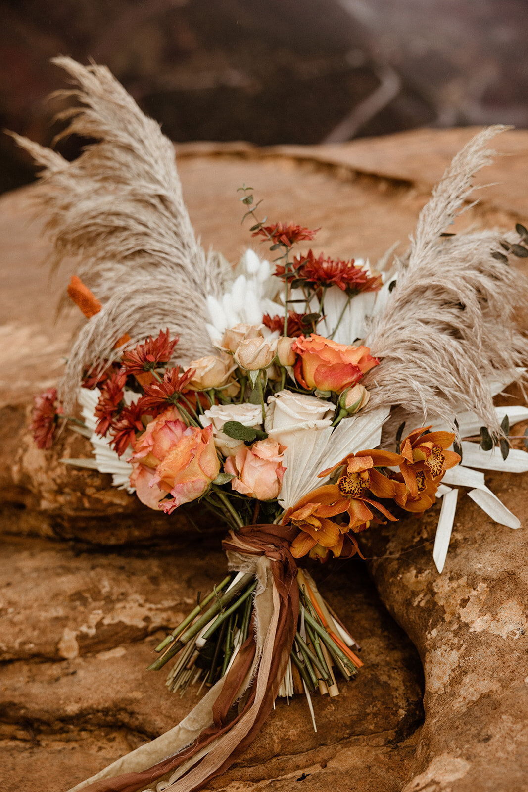 ZionSnowCanyon-dallinhassard-2131