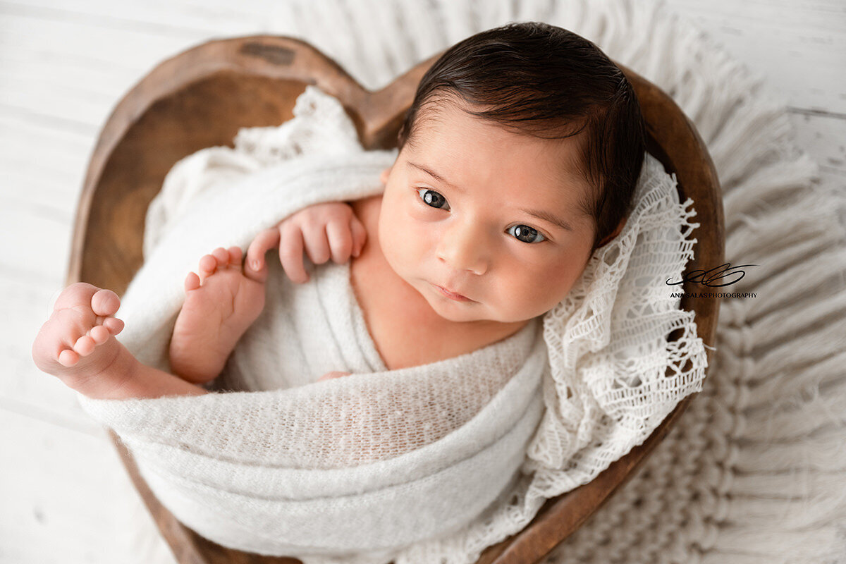 Edmonton Newborn Photography heart basket backdrop