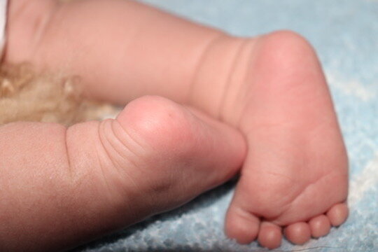 6A98BFCF-E8AE-4738-B828-0BB6B3C2A96B_4_5005_c