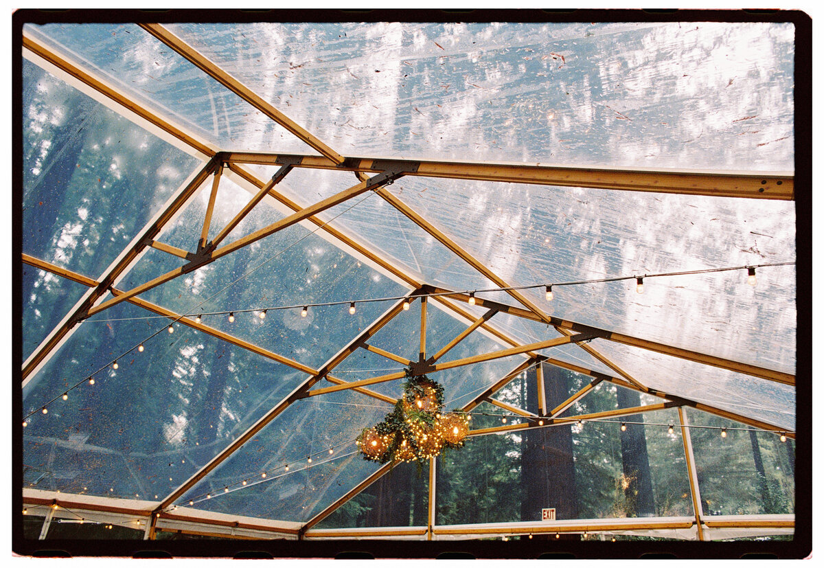 Catalina_Santa_Cruz_0072