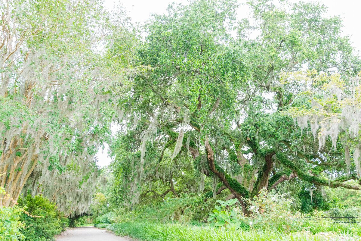 Dana Cubbage Weddings Photography Engagement Photographer Charleston South Carolina Luxury High End Destination Travel Bright Colorful Light Airy Chicago New York Los Angeles Weddings Photo87