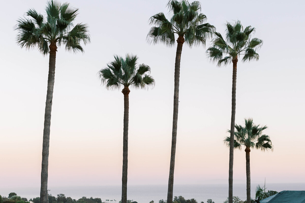 Malibu-Estate-Wedding_Malibu-Wedding_Southern-California-Wedding-Photographer_Lisa-Leanne-Photography_78