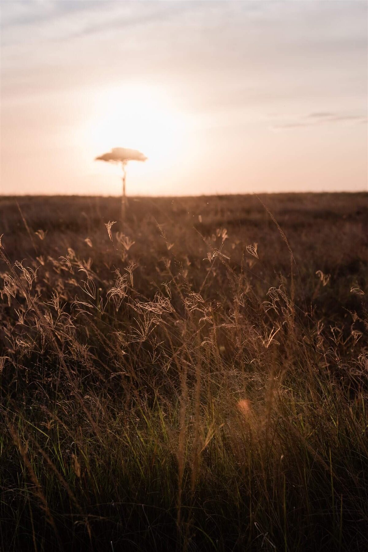 safari-park-wedding-kenya-sunrise-game-drive-Soul-and-Sky-Weddings
