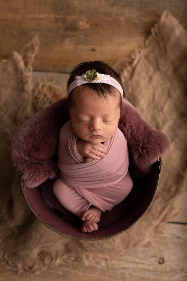 newborn-photographer-denver-12