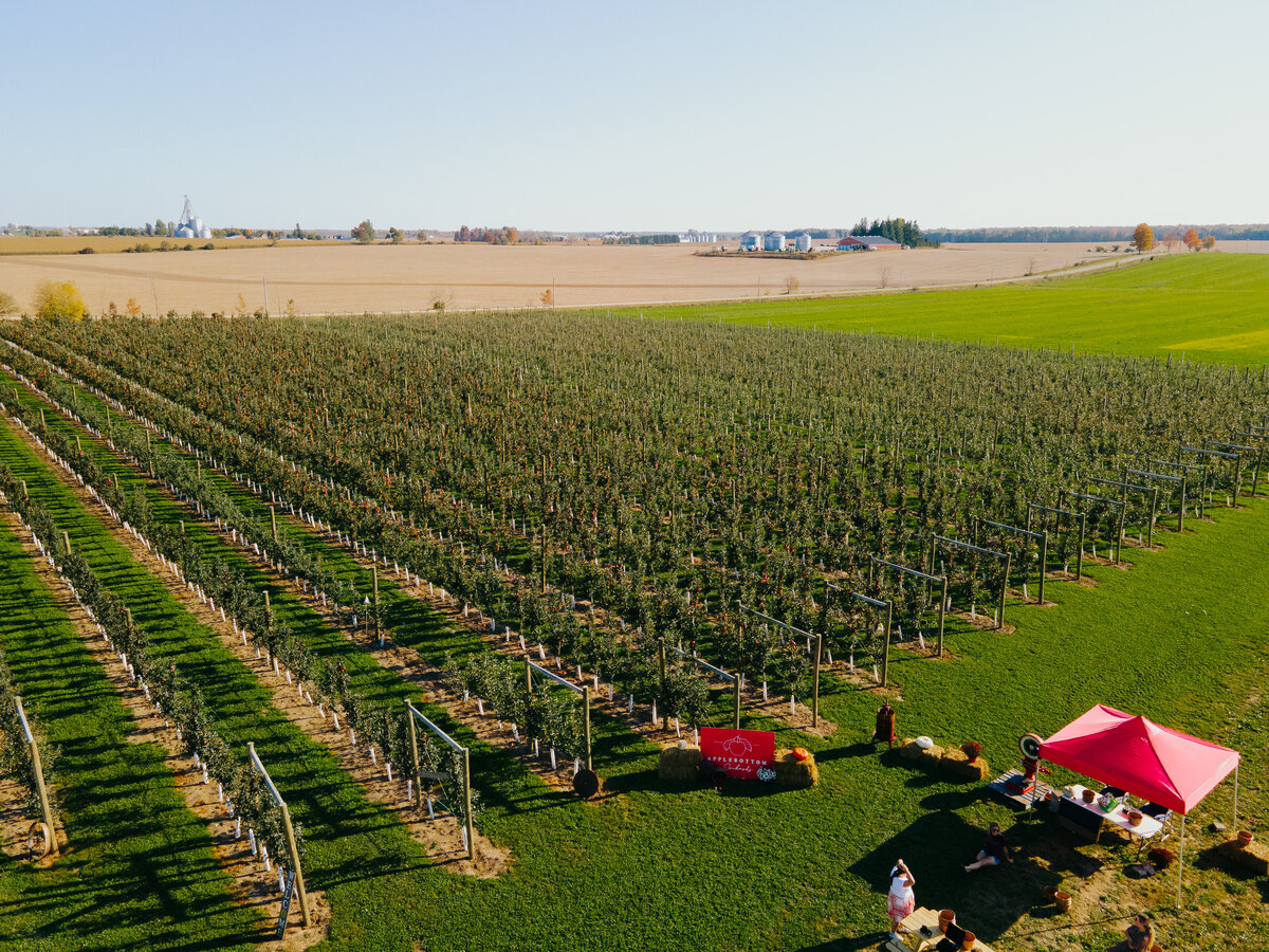 Aerial view of the orchard with Applebottom Orchards sign, haybales, fall mums and red pop-up tent. 