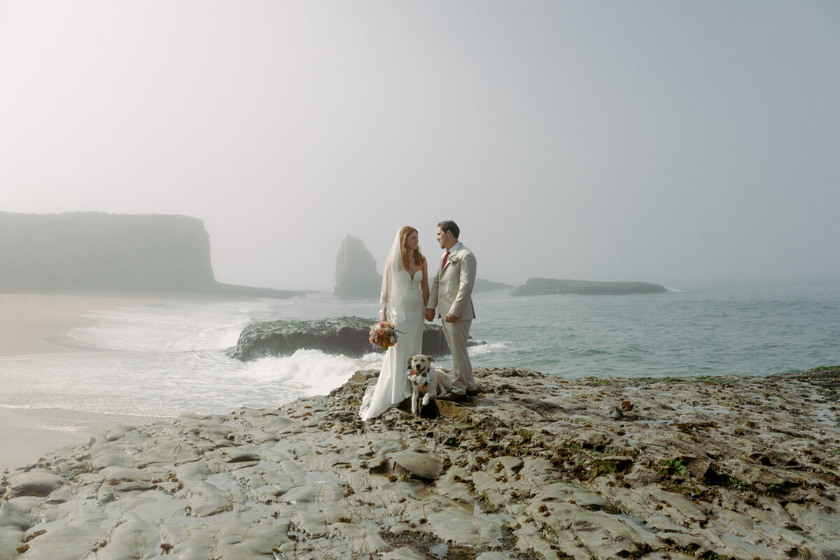 Carolina + Nick Santa Cruz Beach Elopement Wedding _ Katherine Krakowski Reno Lake Tahoe Nevada Northern California Photographer-507