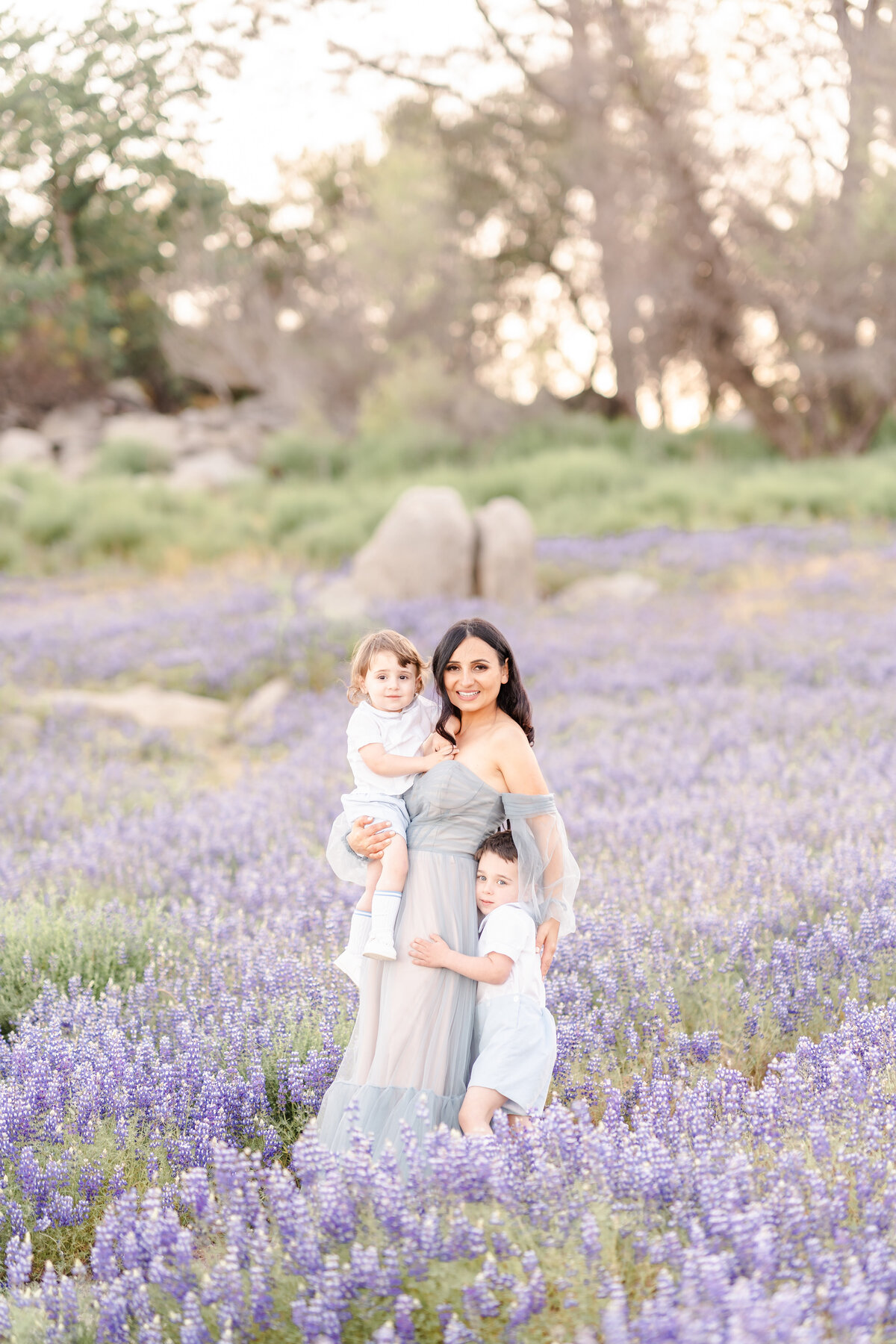 A mother stands with her her two sons in a field of purple lupine flowers photographed by bay area photographer, Light Livin Photography.