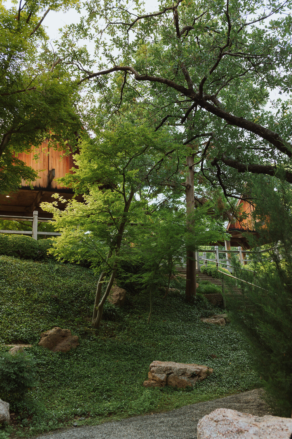 fort-worth-botanic-gardens-engagement-4