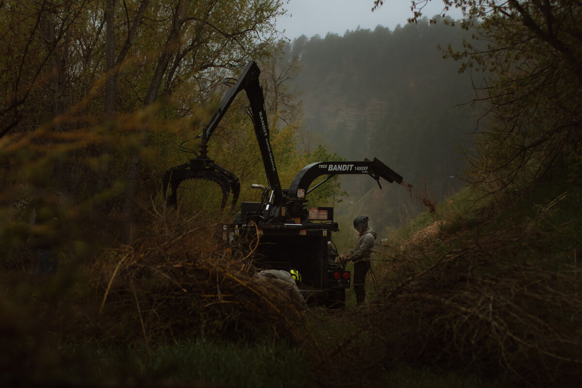 root-management-piedmont-sd