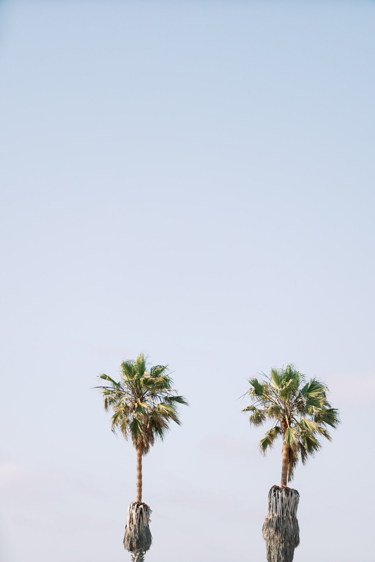 los-angeles-proposal-photographer-beach-003