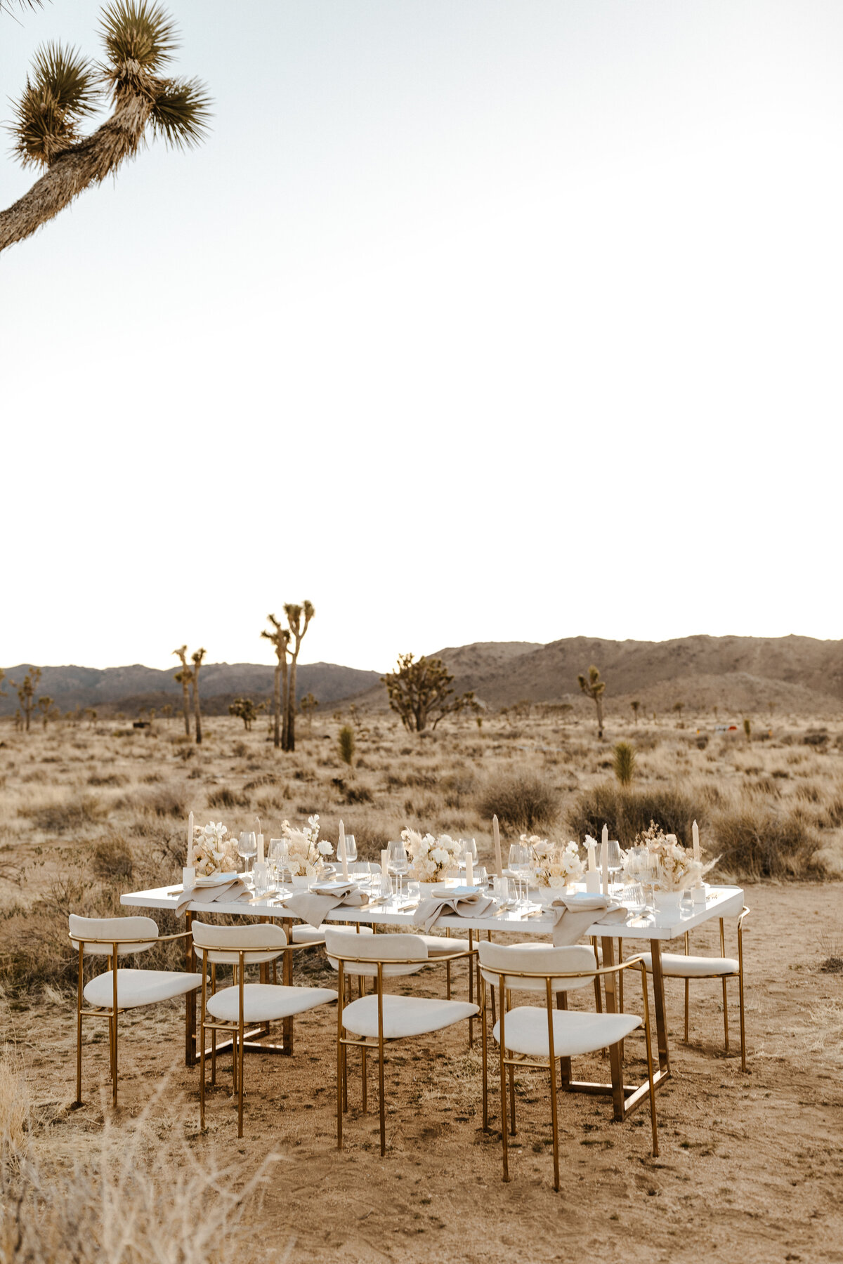 Styled Wild Joshua Tree Elopement-166