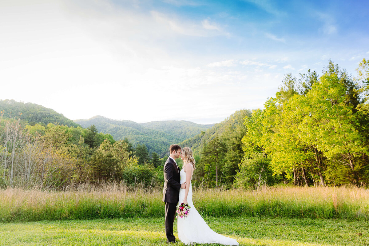 Paint-Rick-Farm-NC-Elopement-3