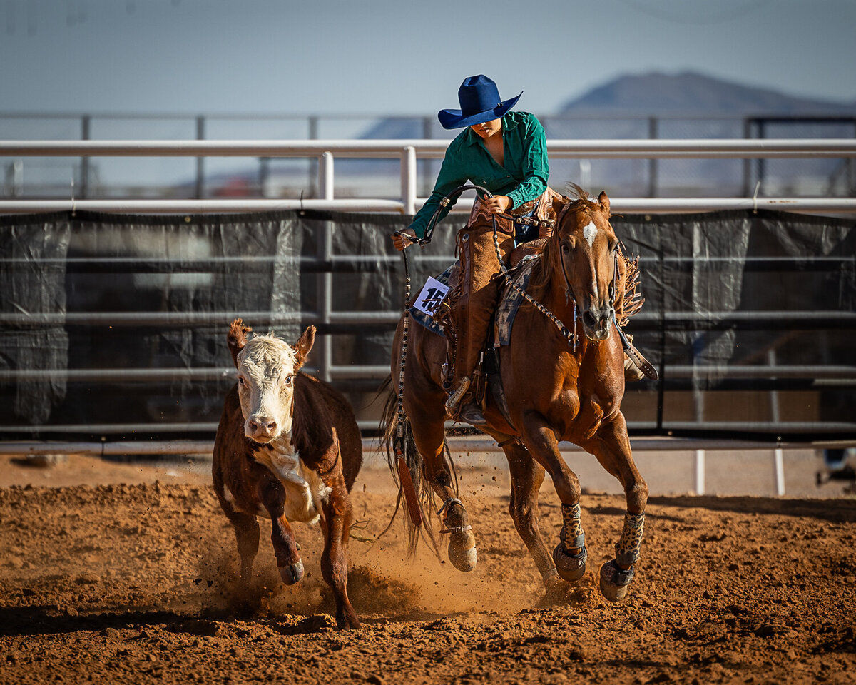 New-Mexico-Horse-Show-Photographer-001