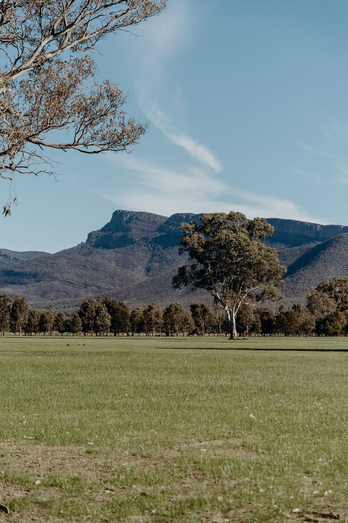0DC_0029-ELOPE-Wirreanda Farm-WIRREANDA-2025 (2)