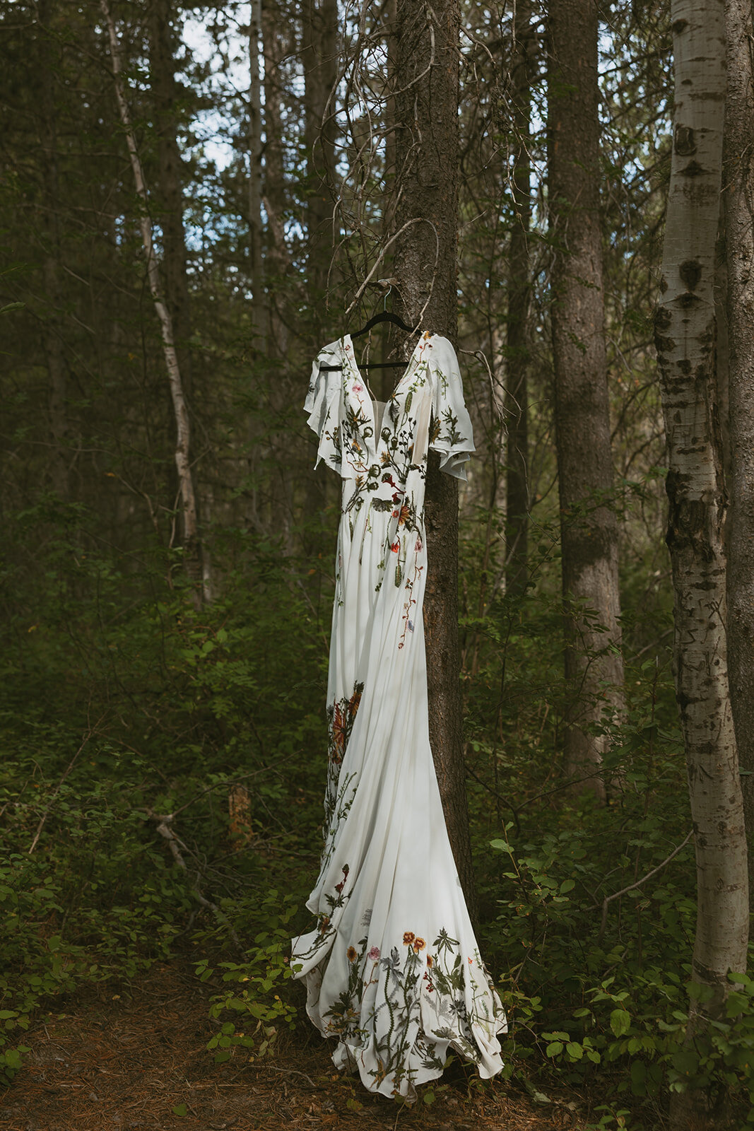 tanya-davids-photo-film-mesa-falls-yellowstone-rexburg-island-park-destination-storytelling-documentary-wedding-elopement-phototgrapher-idaho-90