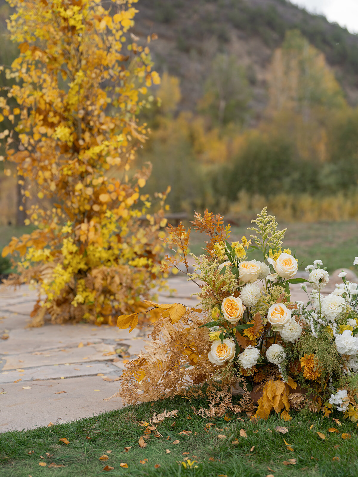 Lauren & Seth Digital Preview-54