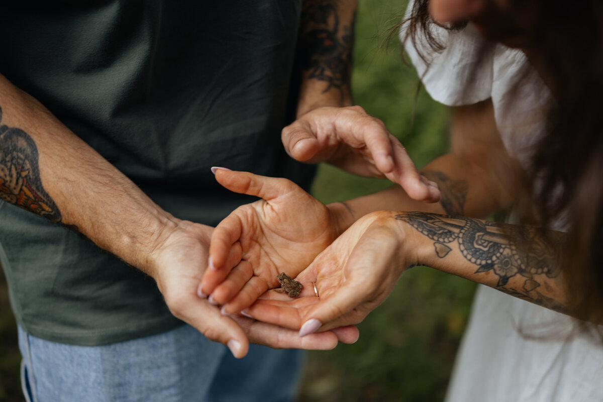 haillekernphoto-fin-7240