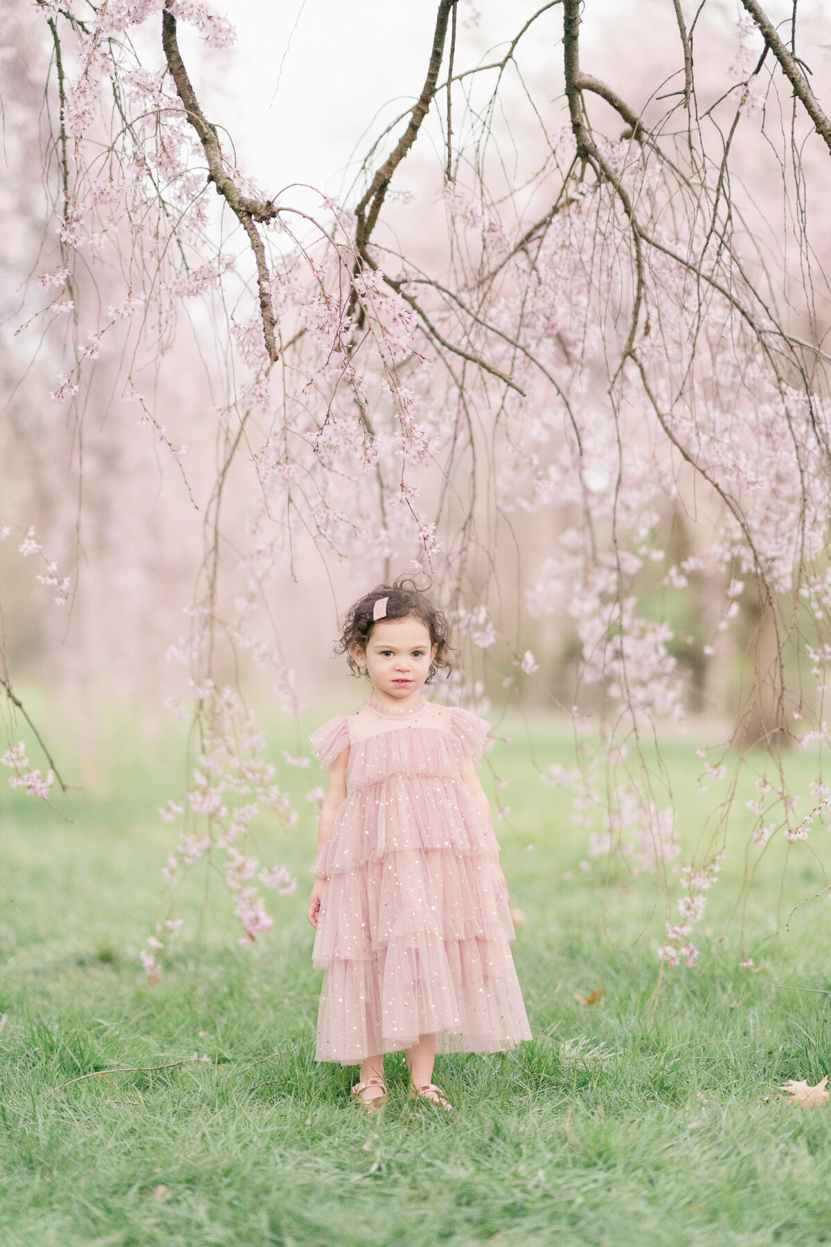 Courtney-Landrum-Photography-Motherhood-Cherry-Blossoms-36
