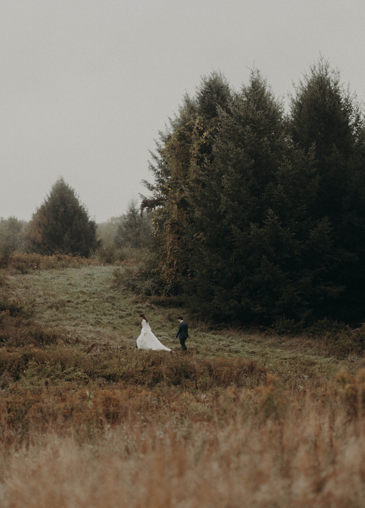 far away photo pine tree field bride and groom wedding photographer 