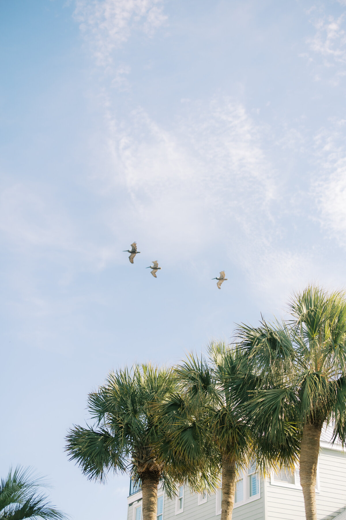 Maria & Tod Film Page Image 5