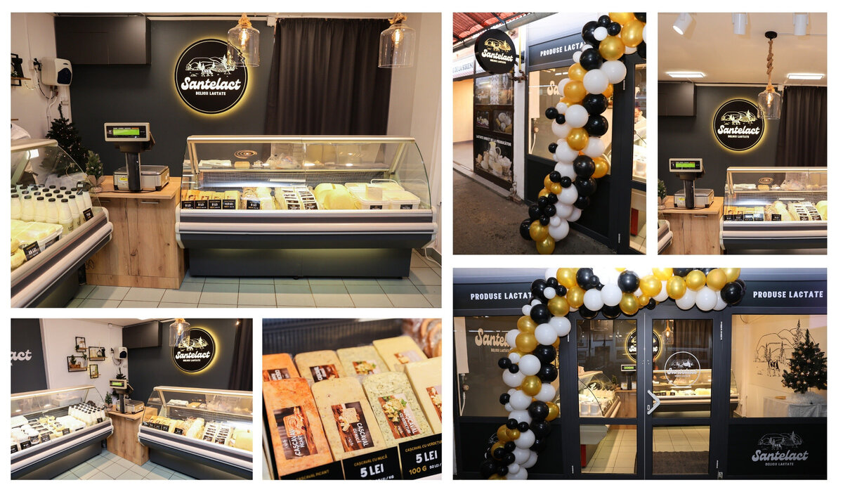 brand design for dairy company25