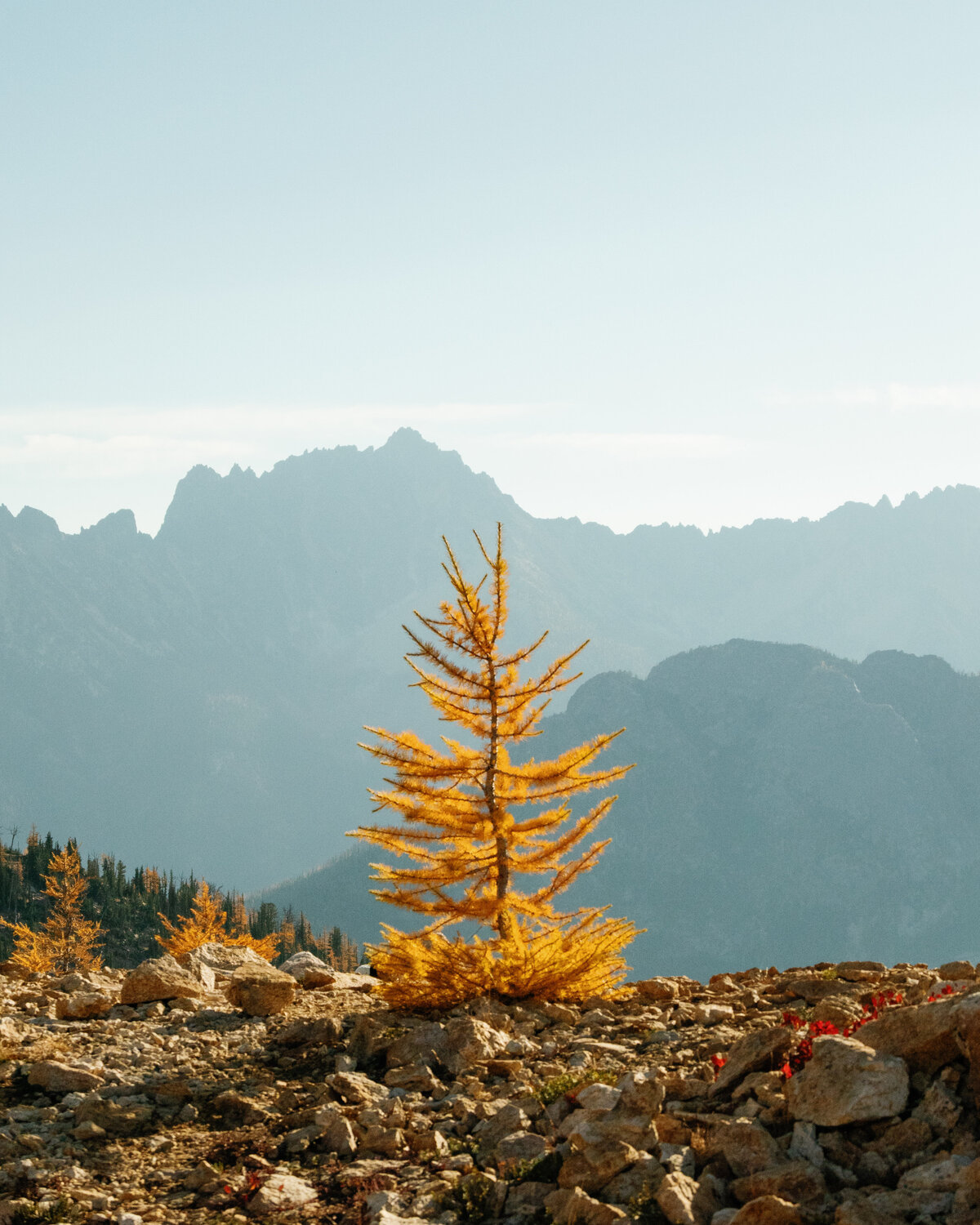 cutthroat_pass_north_cascades_national_park_washington_larch_hike_03