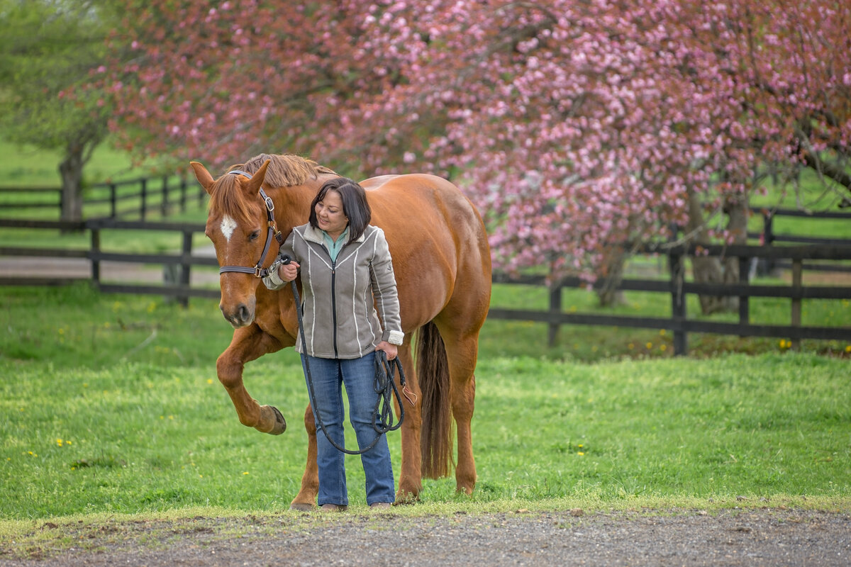 Equestrian-68
