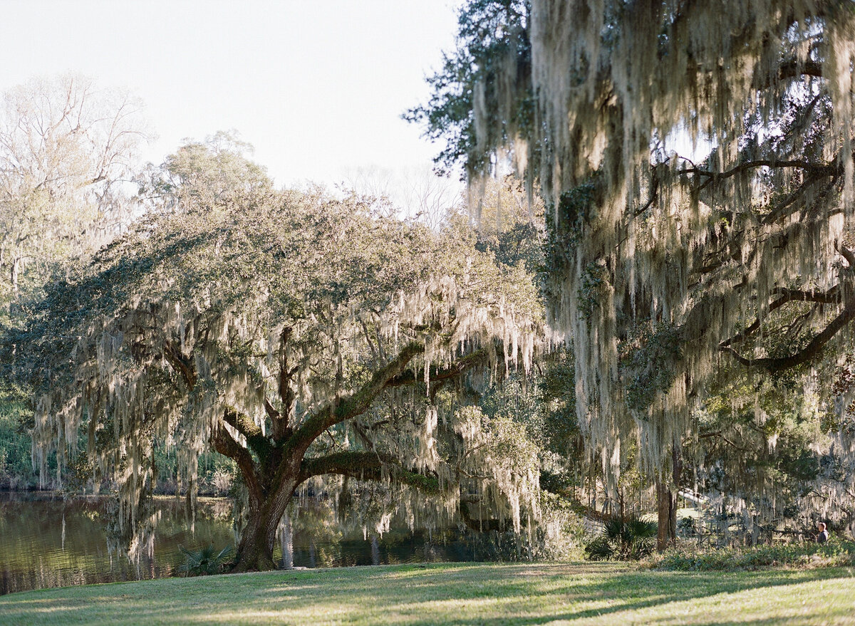 2022-11-19Foye+LaceyWedding-10