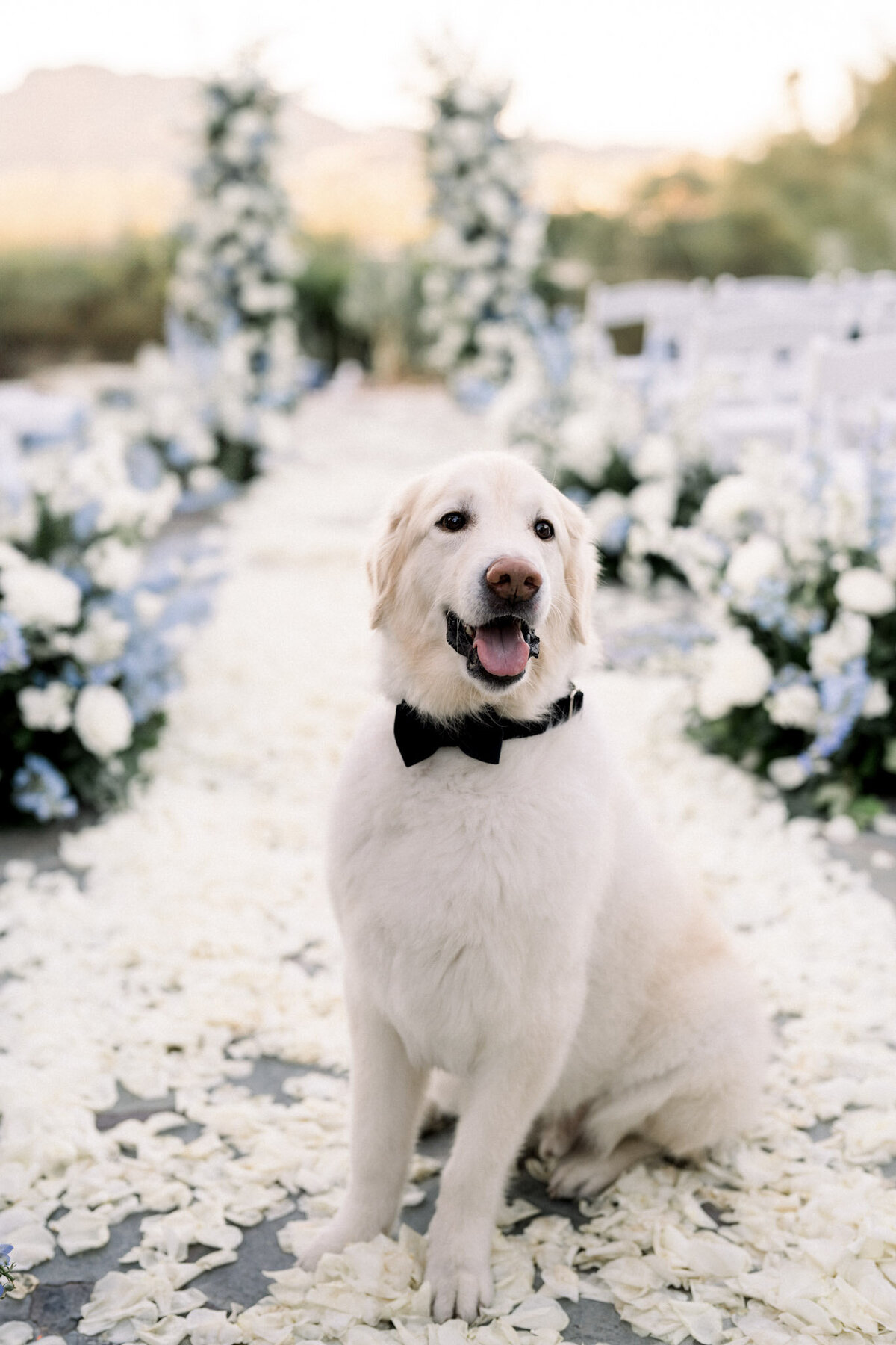 luxury-fine-art-wedding-photography-near-me