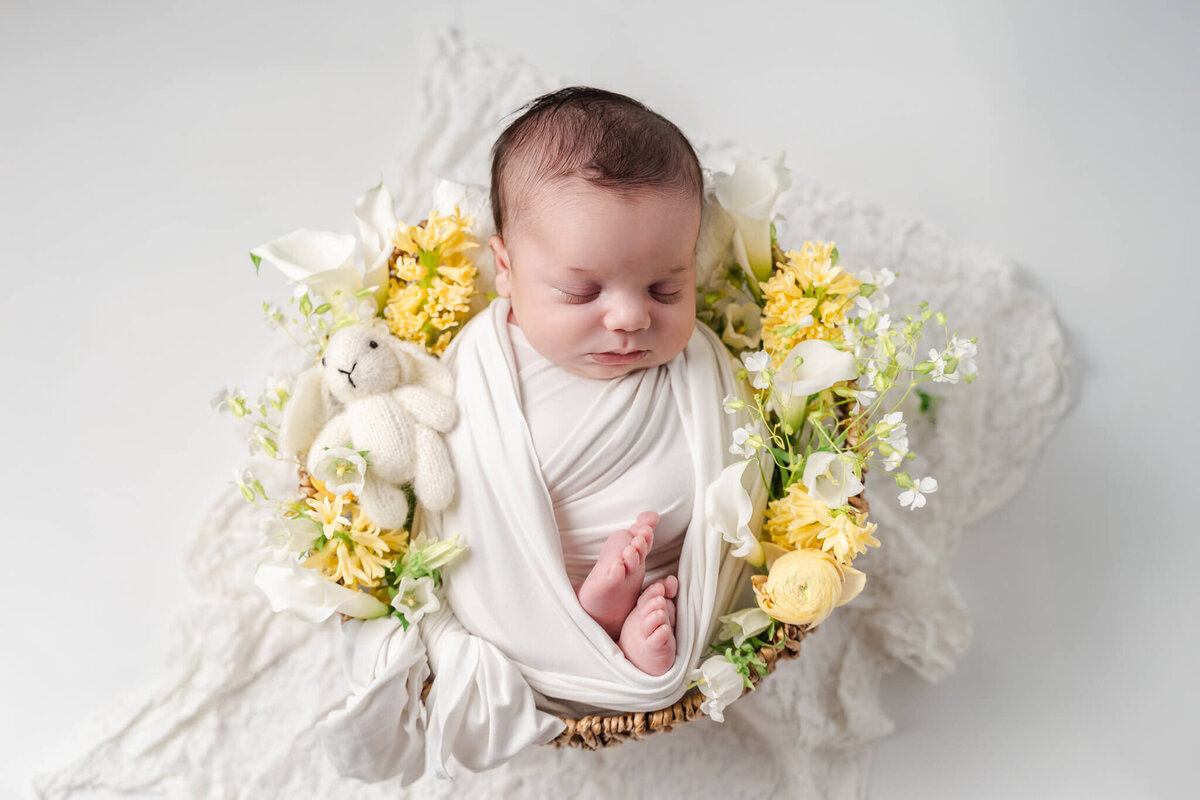 DSC08800-Edit