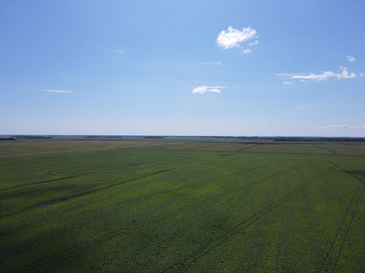 DJI_0890