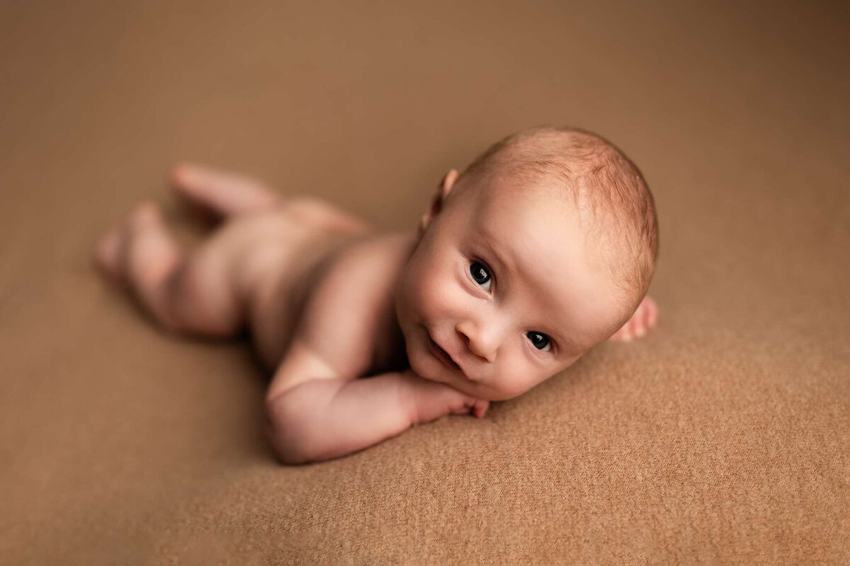 NW Arkansas newborn photographer, newborn photography near me, newborn portraits in NW Arkansas
