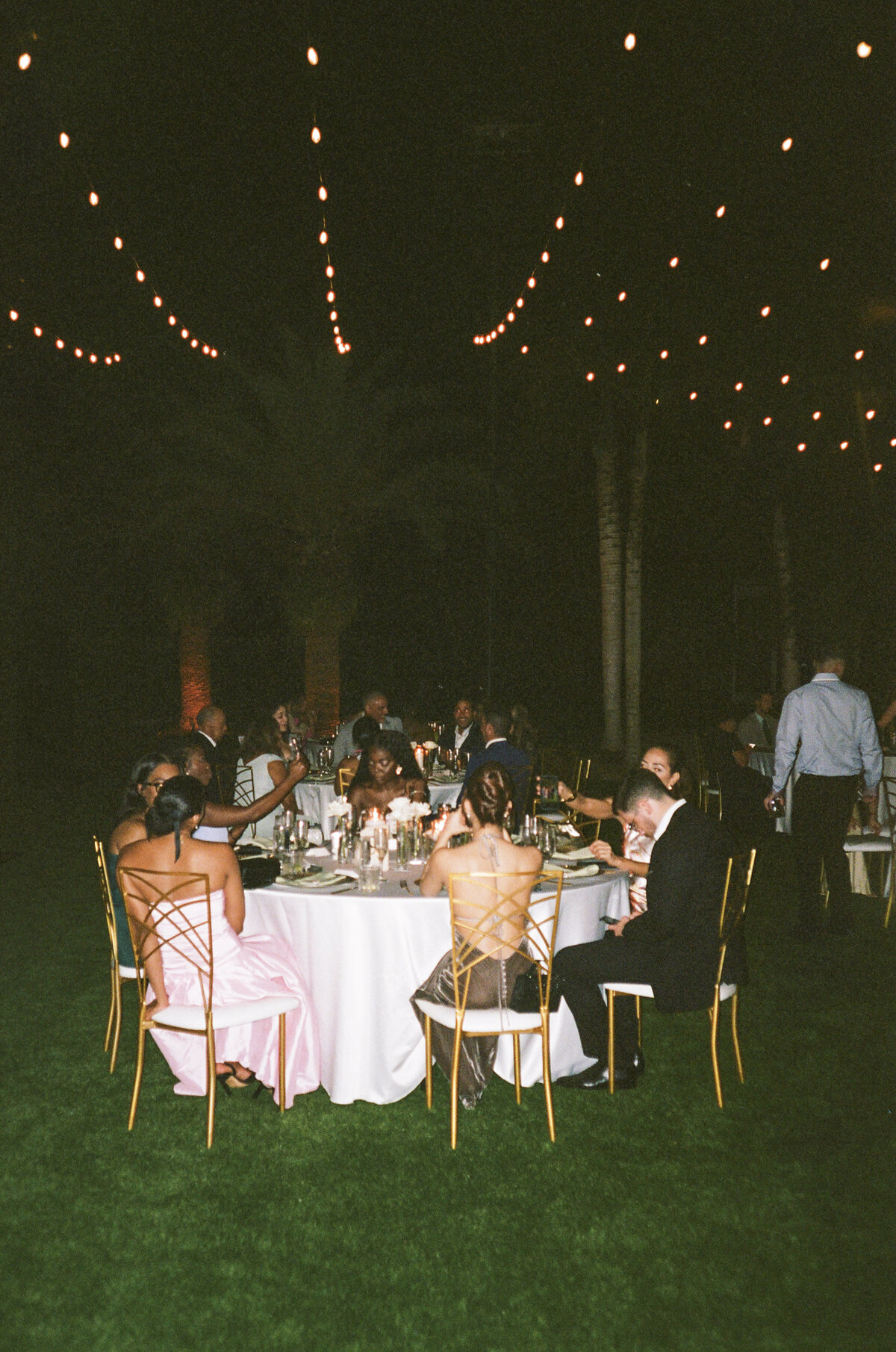 Alexandra Masihy Wedding Film Photography-1